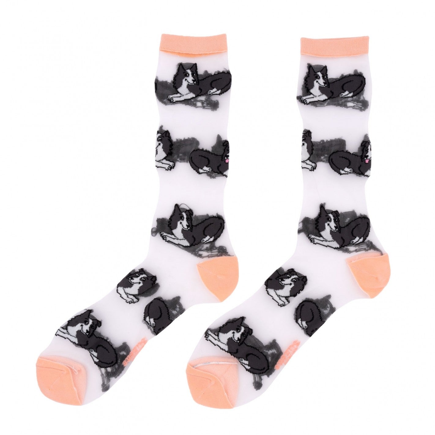 Dog Sheer Socks